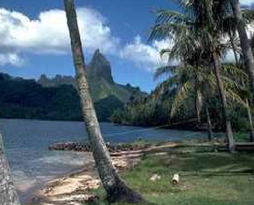 Picture of a tropical bay with palm trees around and
          mountains in the background